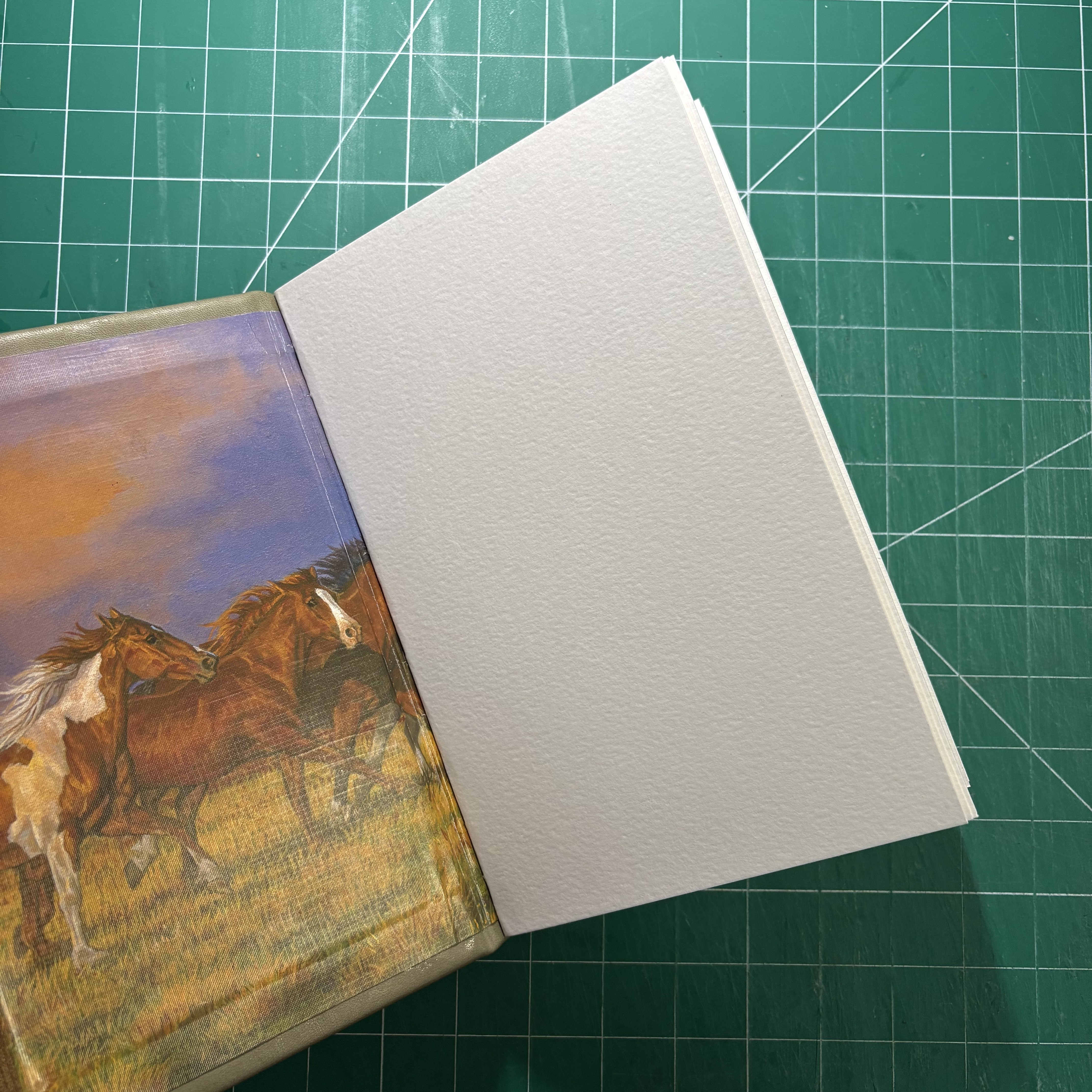 Frenchlink &a Longstitch Leather Watercolour - front