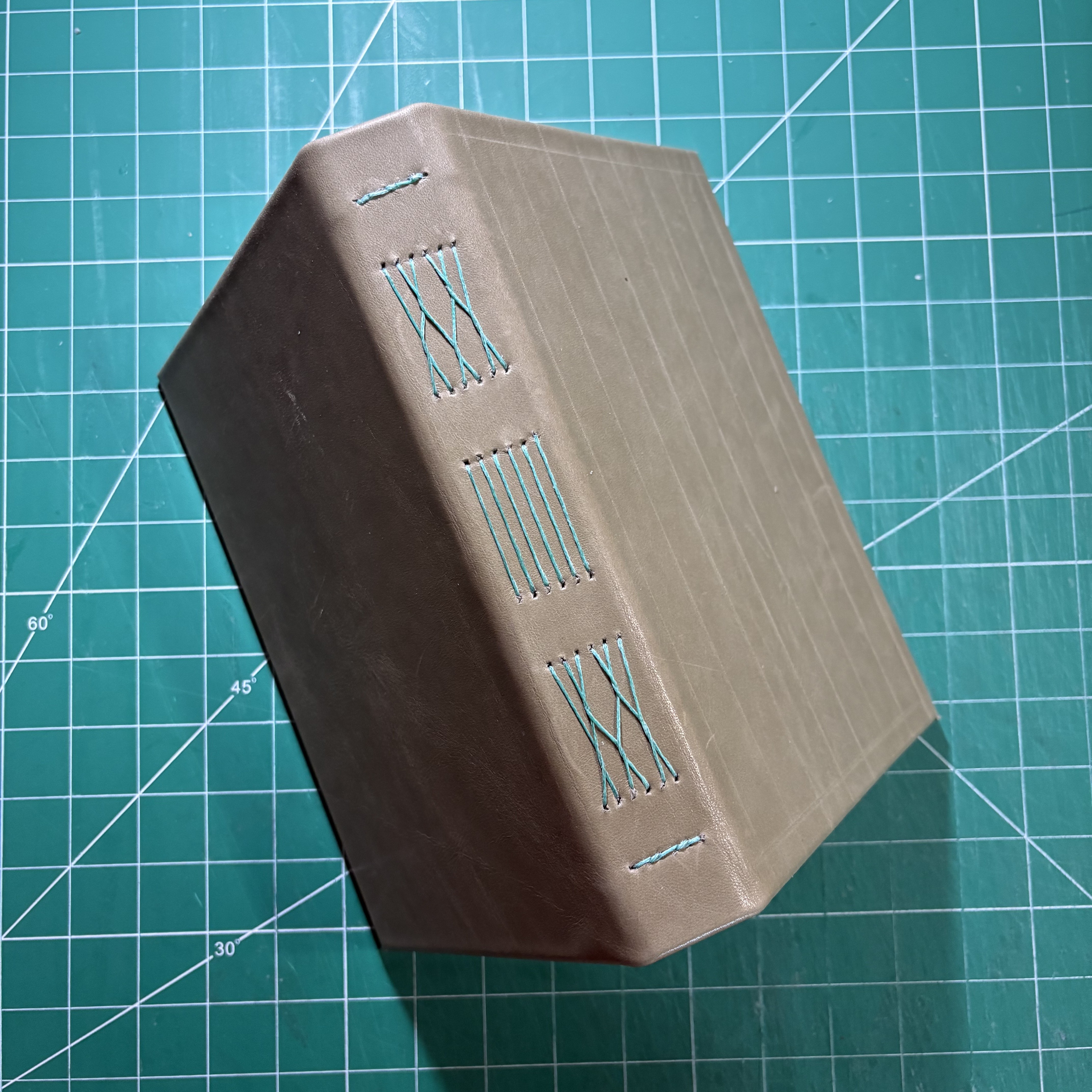 Frenchlink & Longstitch Leather Watercolour - spine