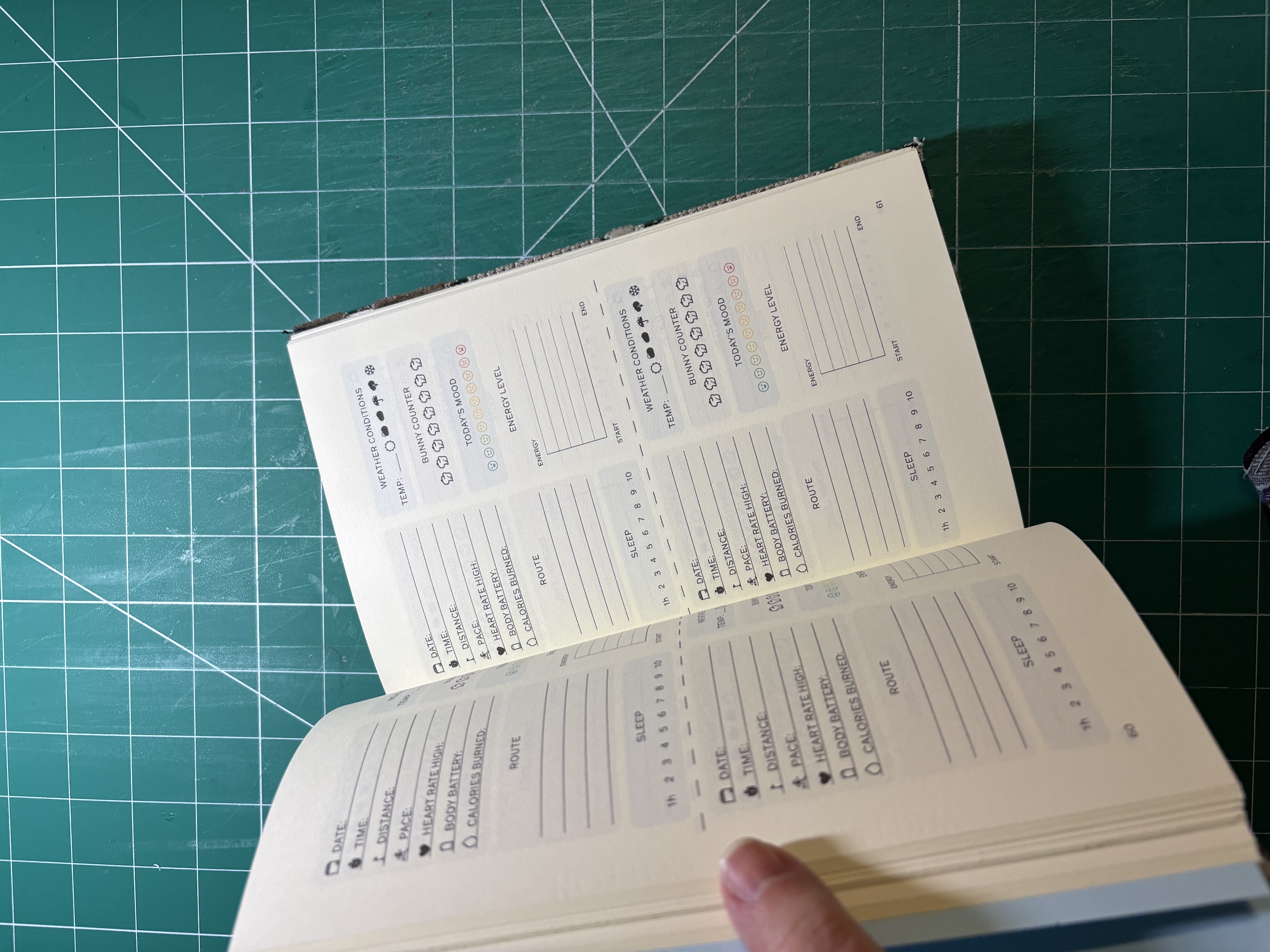 Casebound Nouveau Velvet Running Journal - open