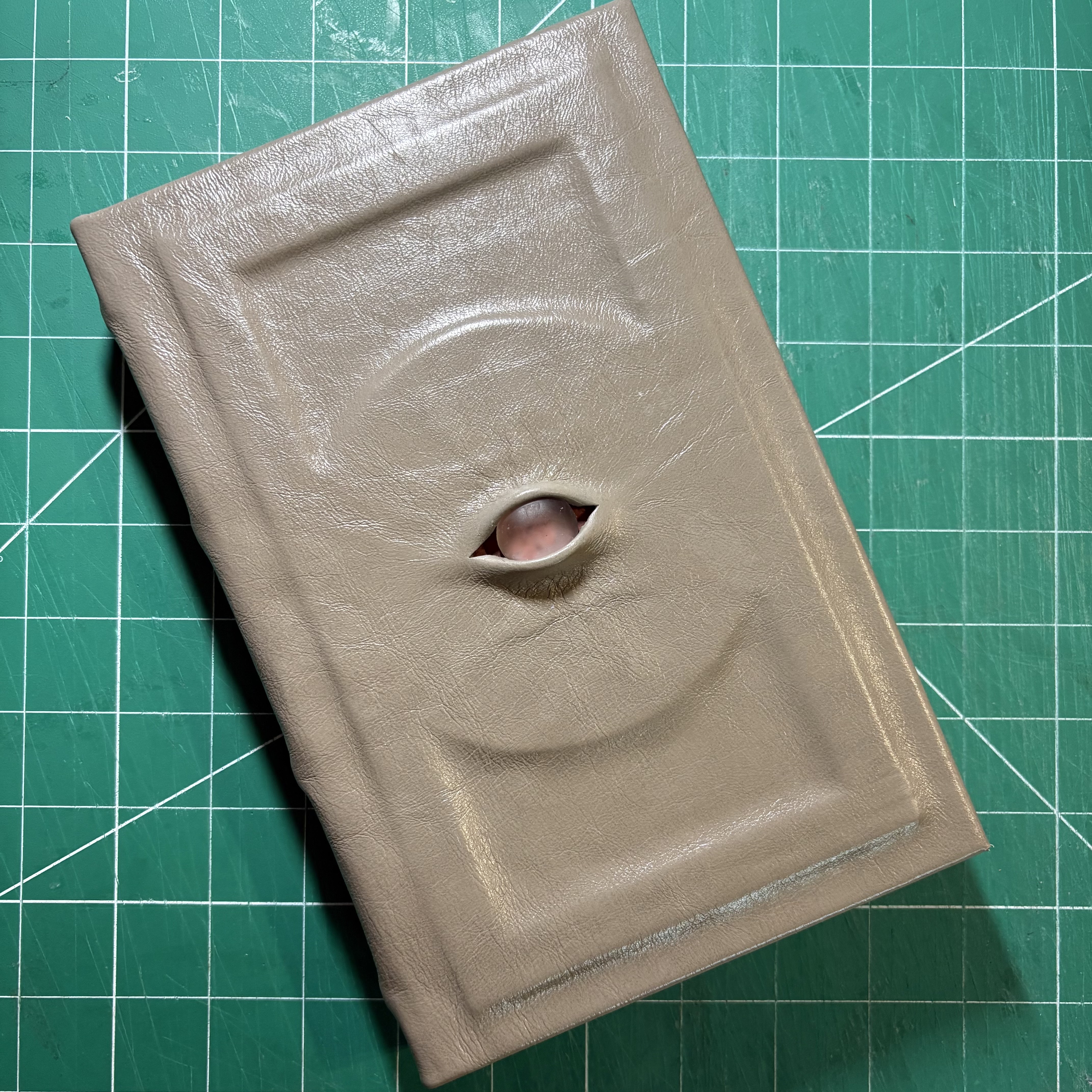 Casebound Leather Gem Eye Notebook