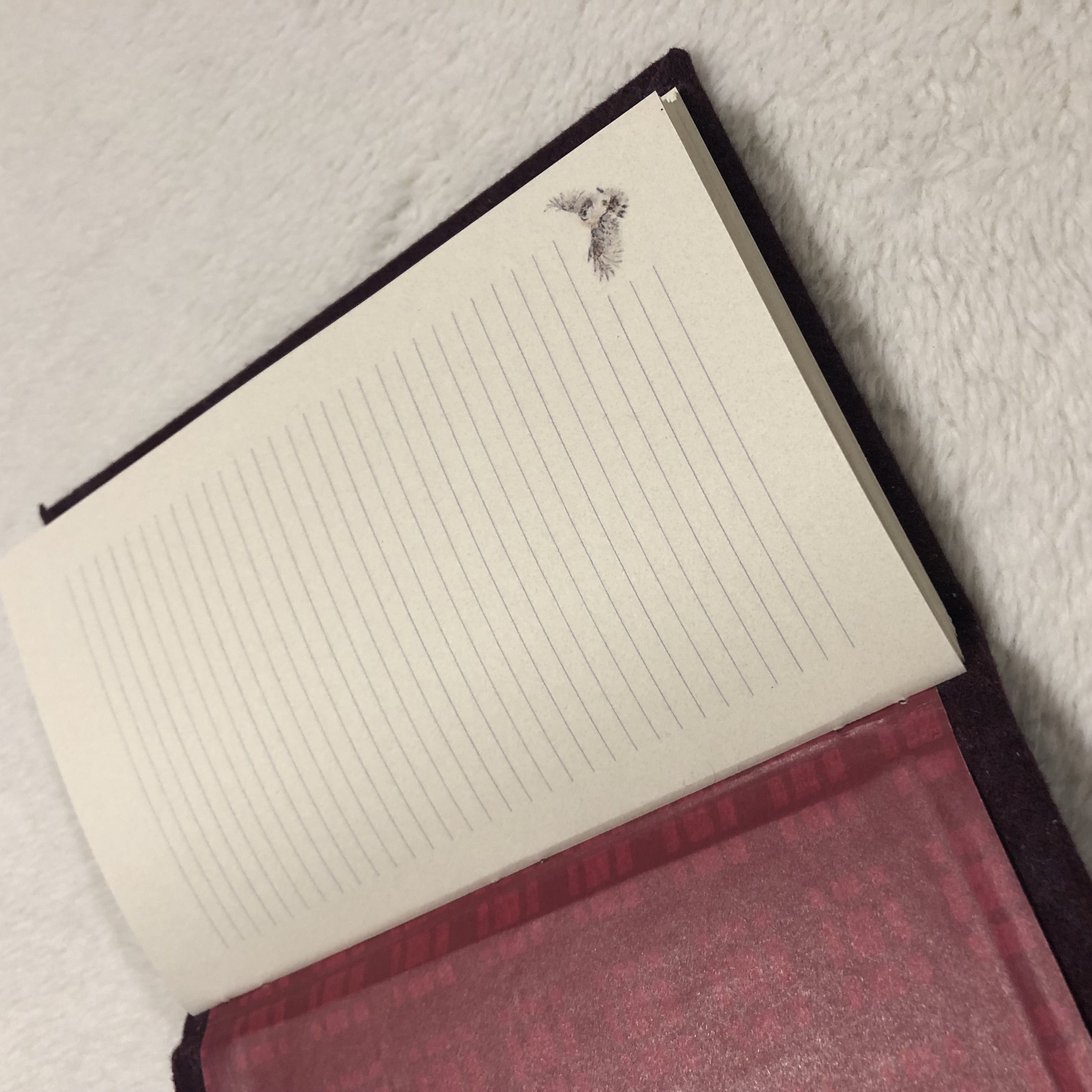 Red Owl Notebook - open