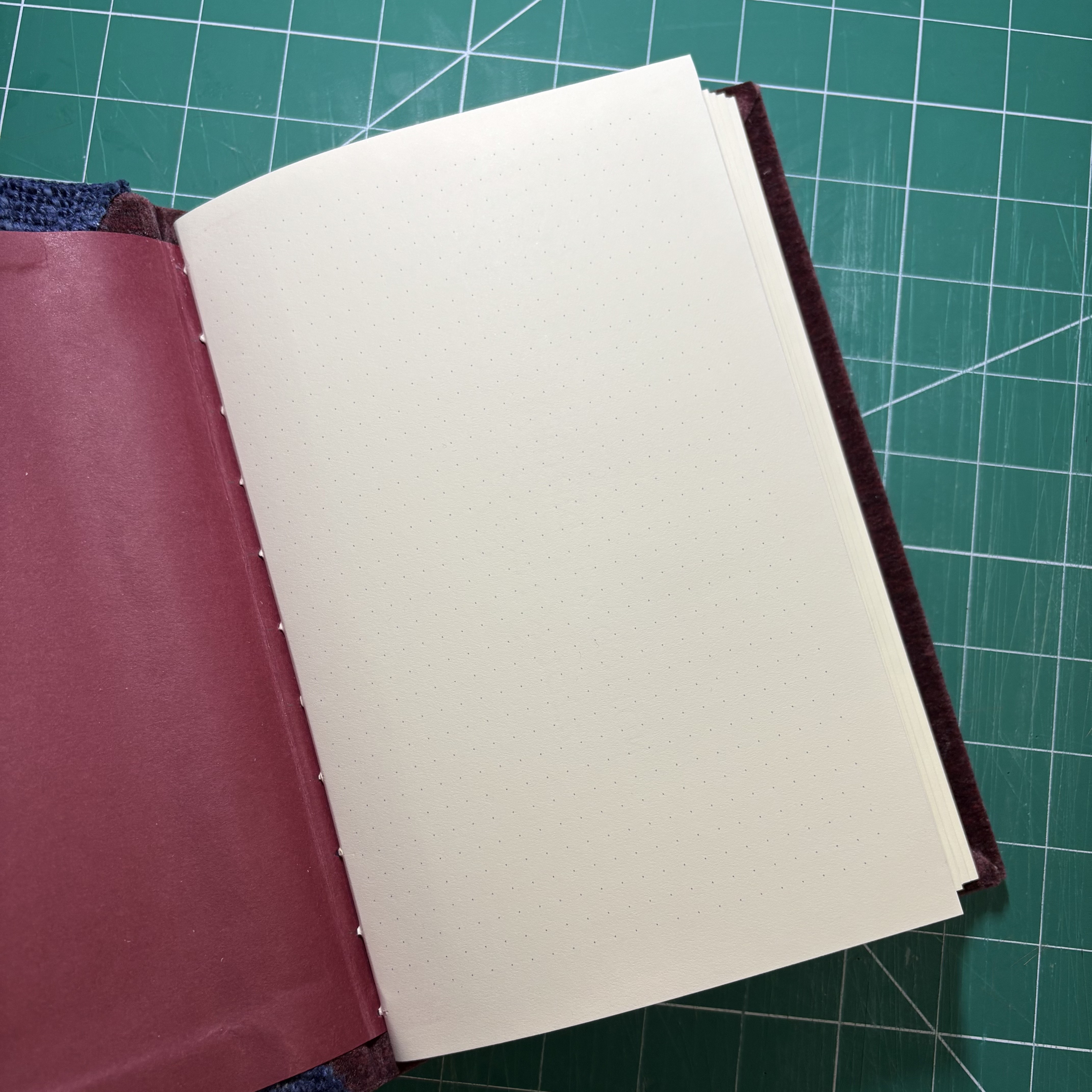 Chainstitch Sherpa Red Velvet Dotted Notebook - open