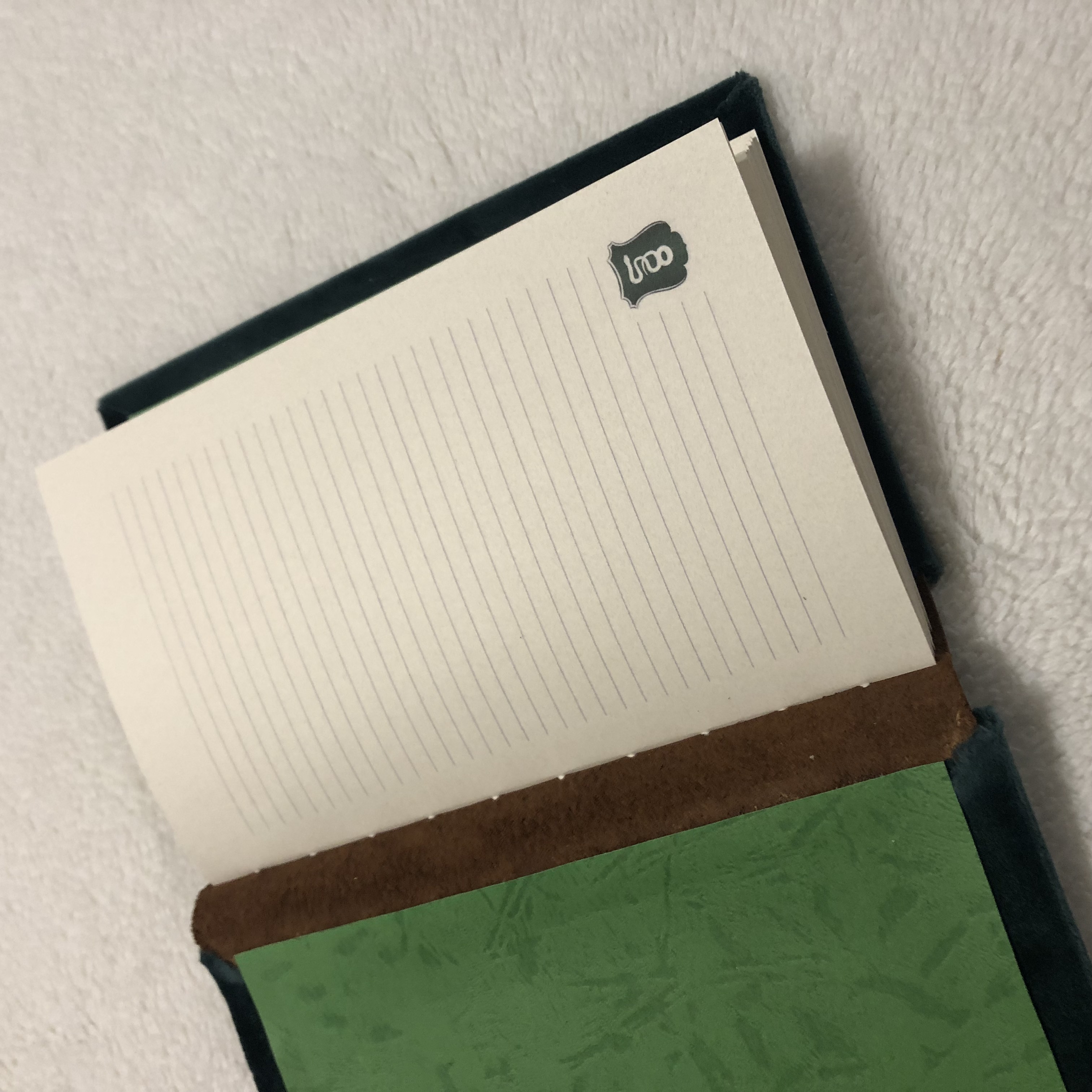 Chainstitch Serpent Crest Notebook - open