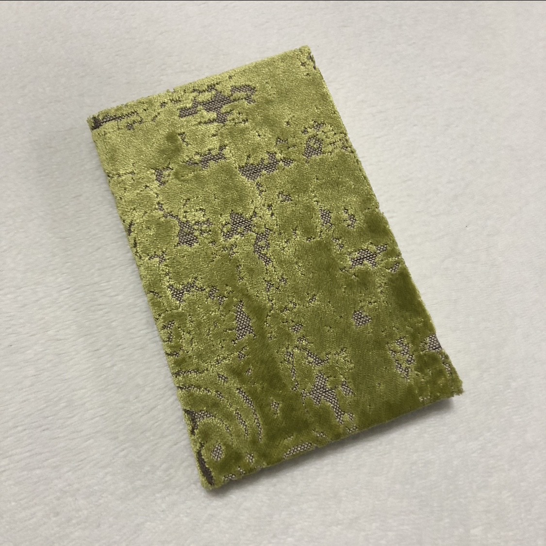 Green Snake Notebook - front