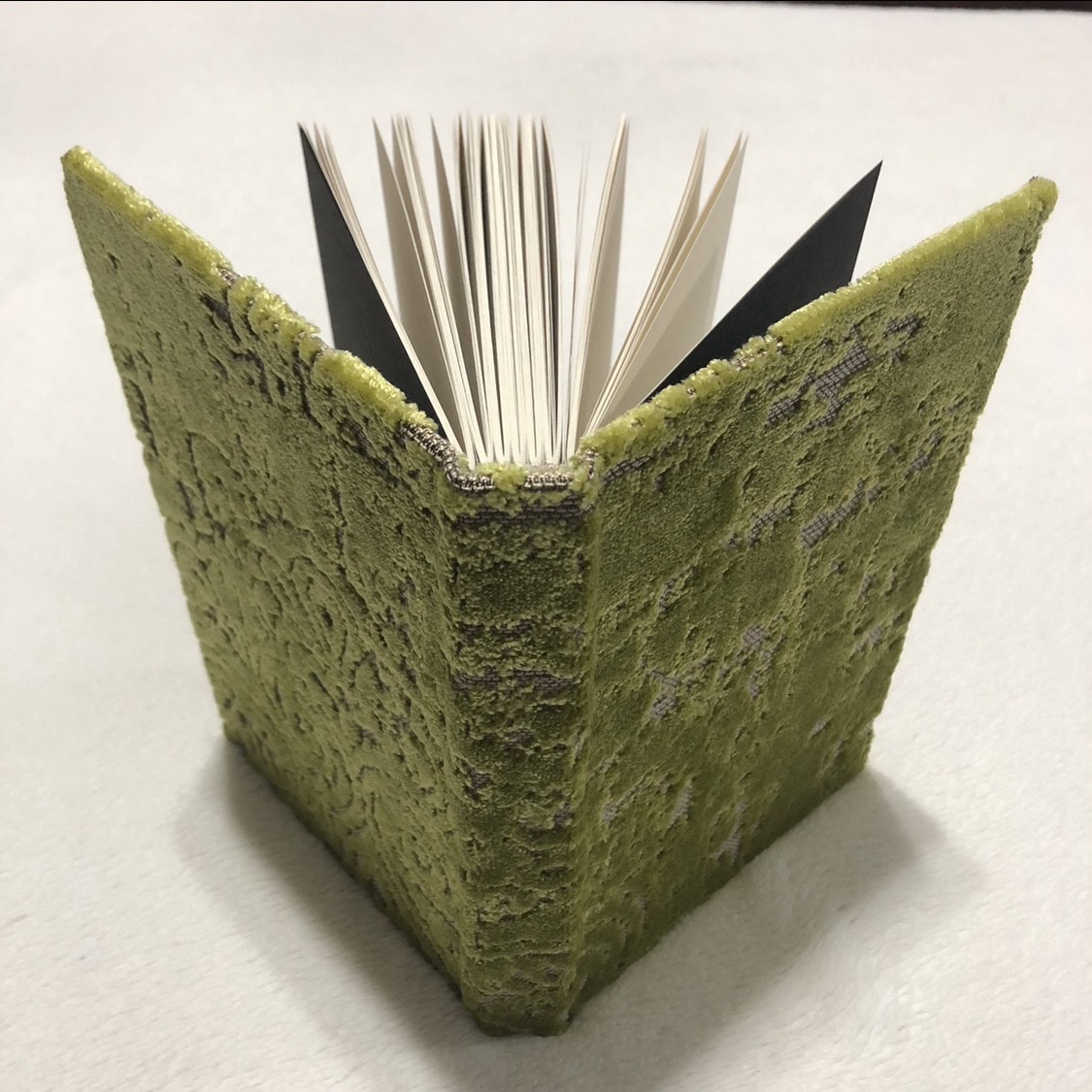 Green Snake Notebook - spine