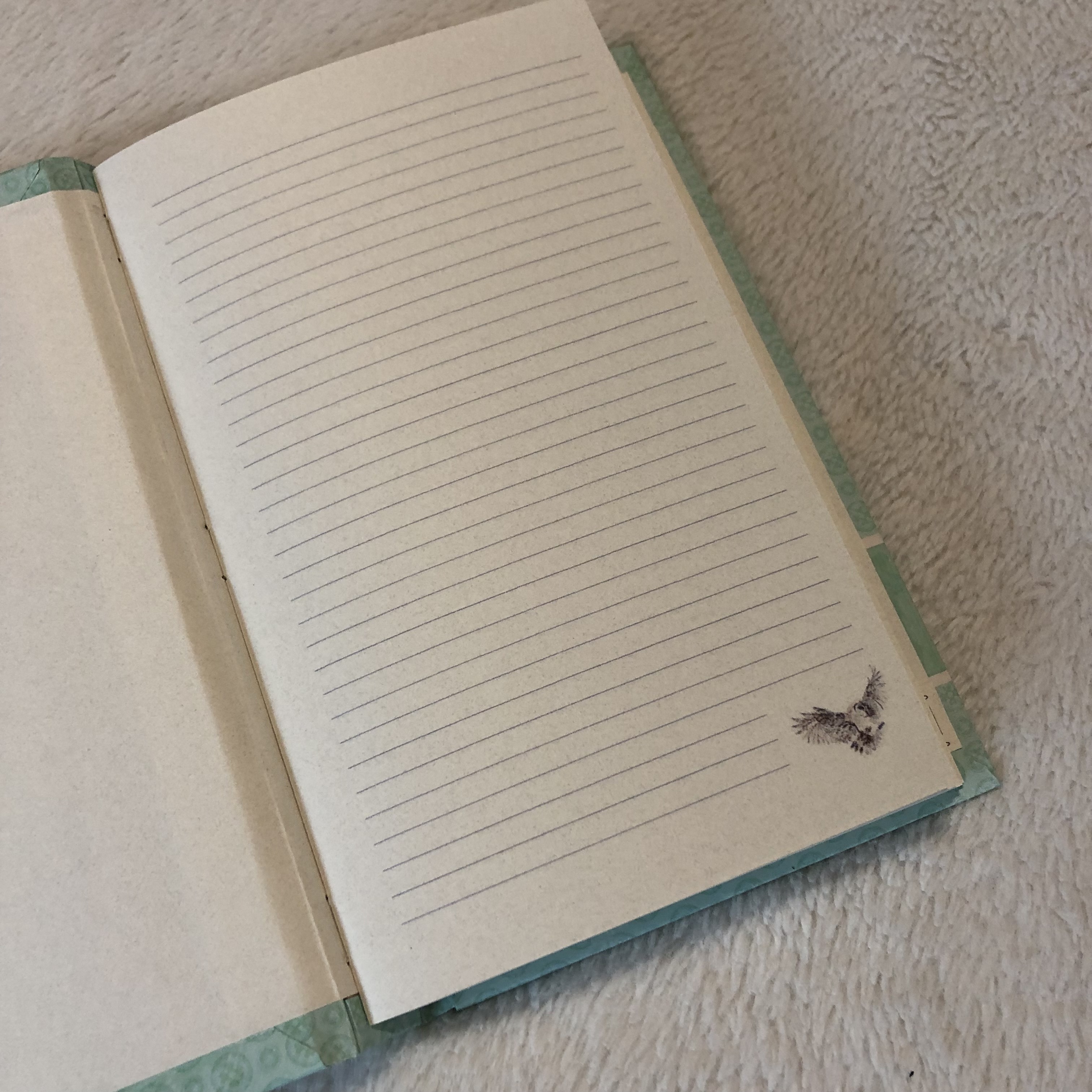 Sparrow Owl Notebook - open