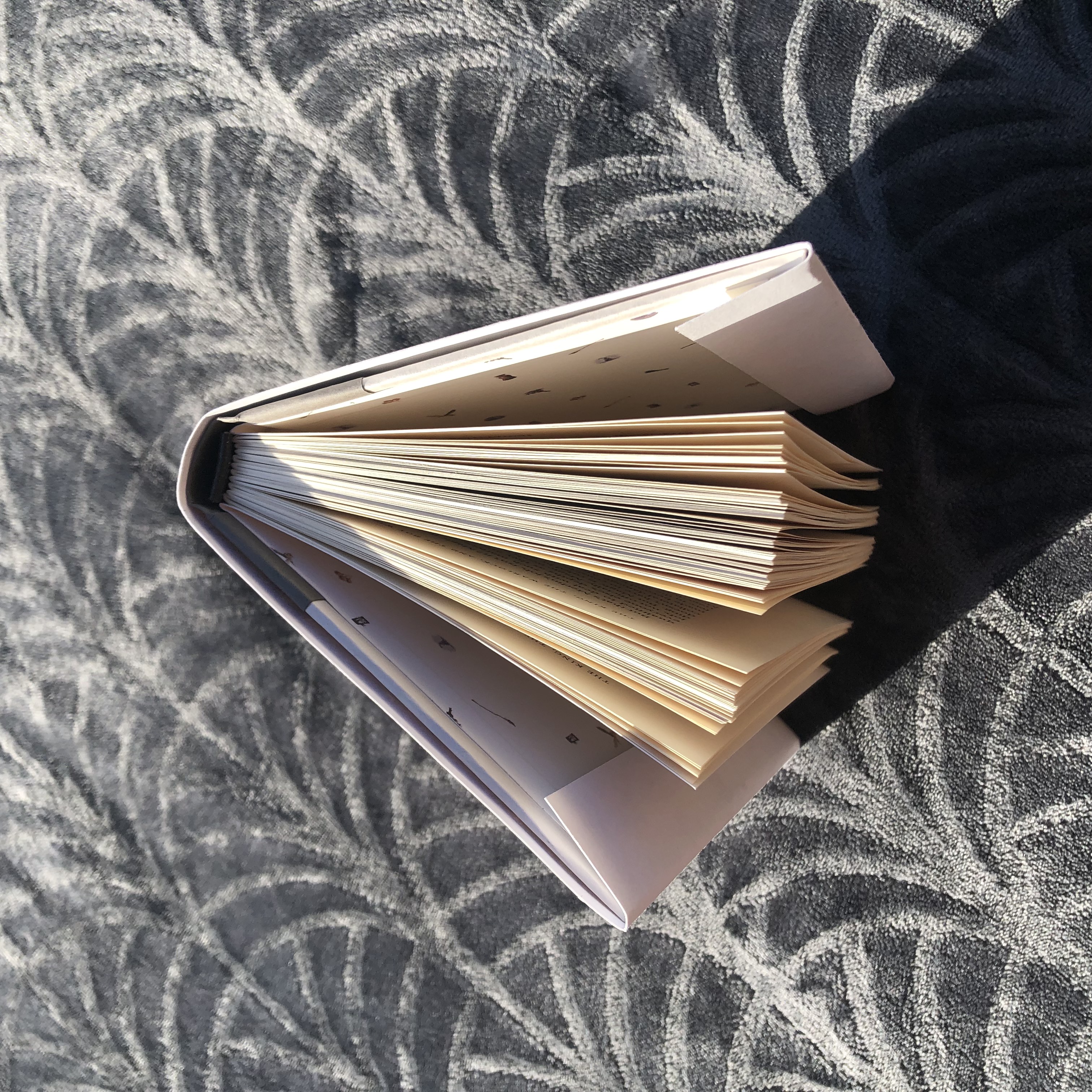 Bookbinding Practice — A Harry Potter Fanfiction - open standing