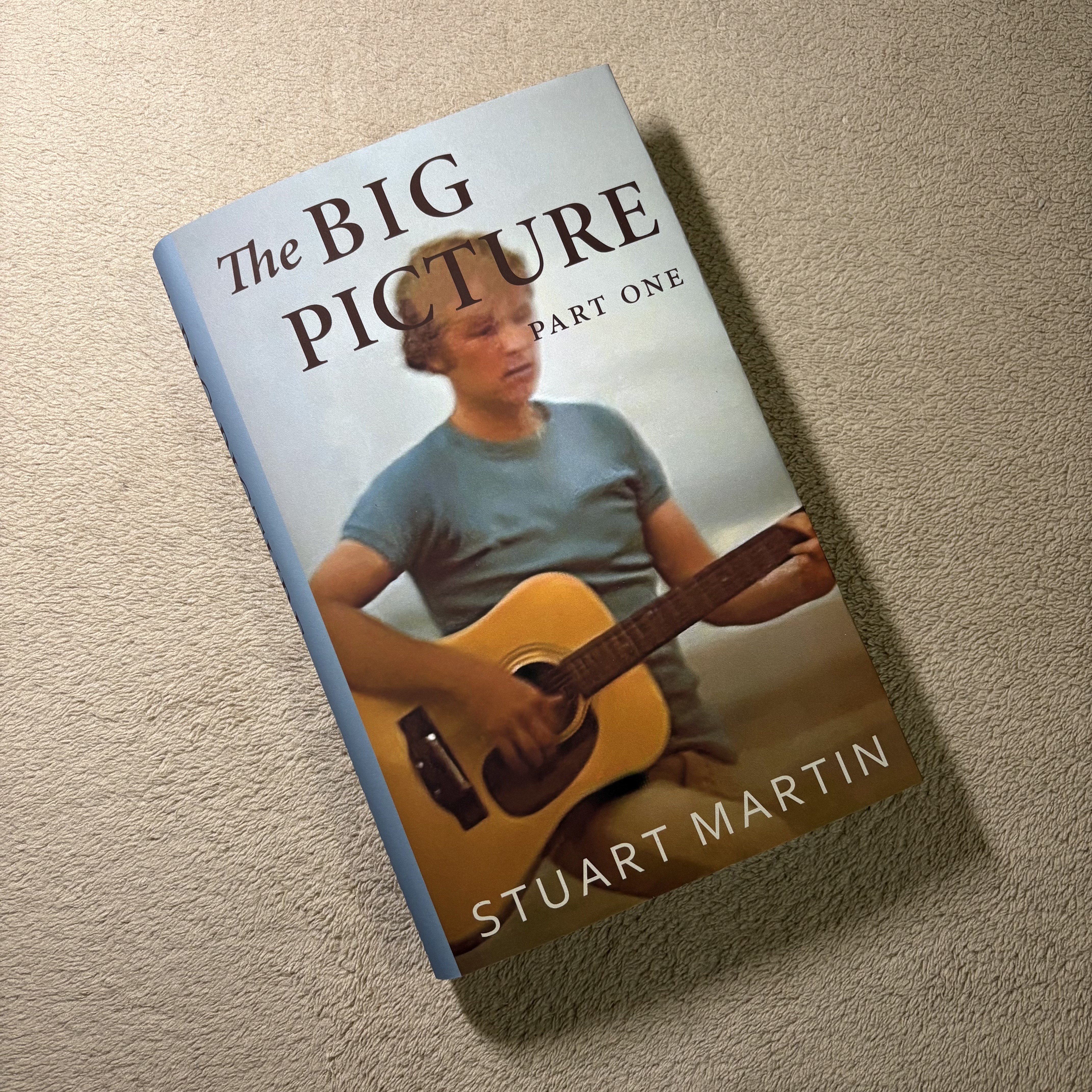 Custom Novel — The Bigger Picture