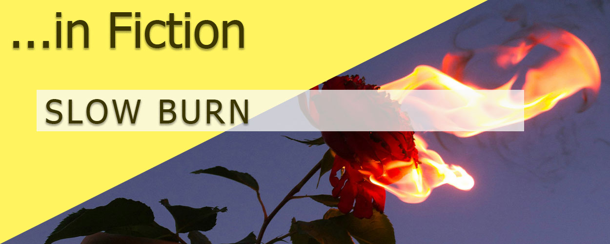 Slow Burn in Fiction title card