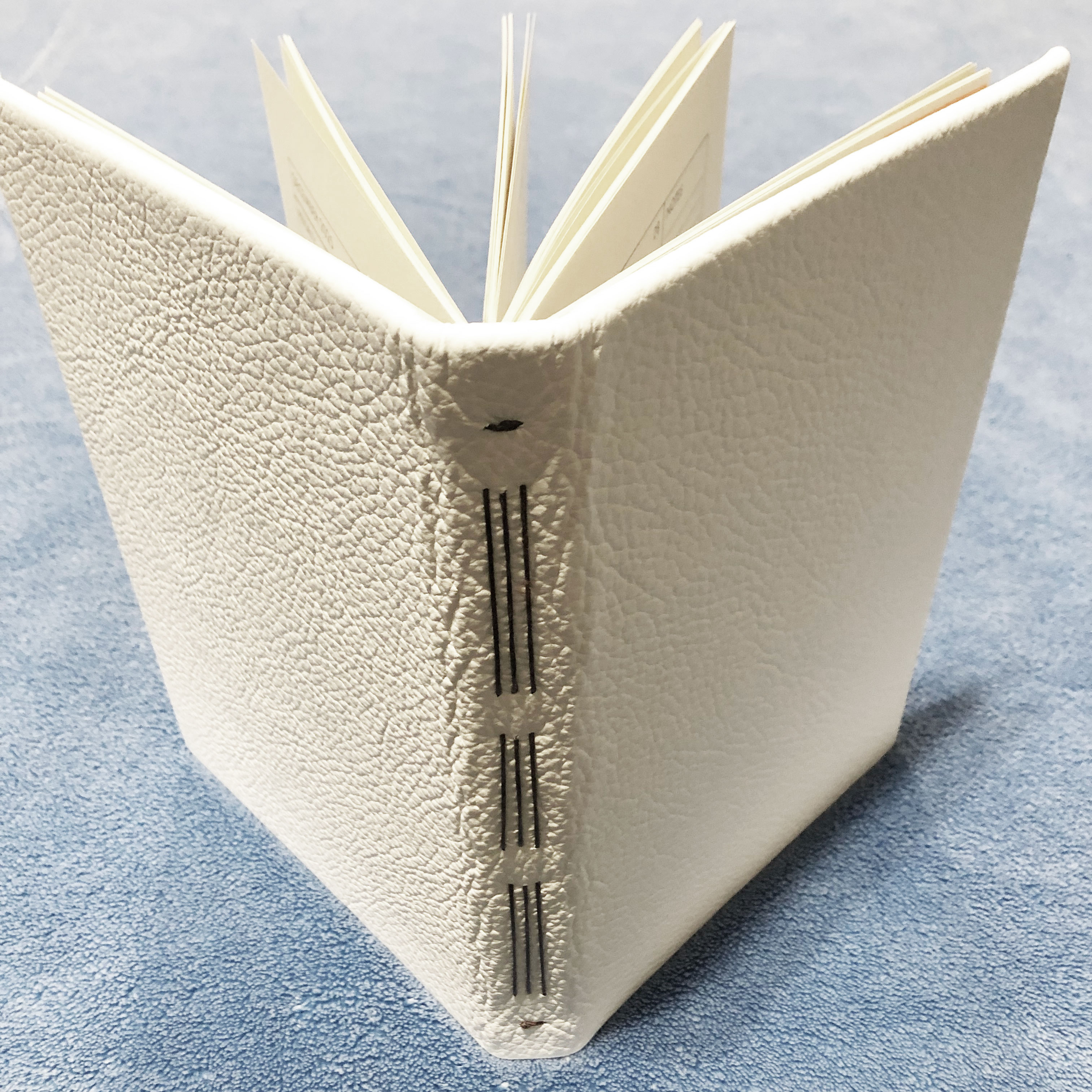 White Leather 2025 Planner - spine